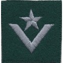 Młodszy chorąży - beret zielony
