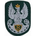 Orzeł na beret - zielony