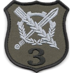 3 Batalion Logistyczny „Ziemi Goleniowskiej” w Glewicach - oznaka rozpoznawcza polowa (rzep)