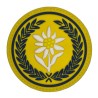 21 Batalion Logistyczny - 21 BSP - naszywka gumowa 3D, PVC (rzep) 75 mm