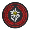 21 Batalion Saperów - 21 BSP - naszywka gumowa 3D, PVC (rzep) 75 mm