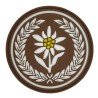 3 Batalion Strzelców Podhalańskich - 21 BSP - naszywka gumowa 3D, PVC (rzep) 75 mm