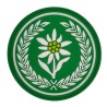 14 Dywizjon Artylerii Samobieżnej - 21 BSP - naszywka gumowa 3D, PVC (rzep) 75 mm
