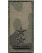 Dystynkcja na mundur polowy wz. 2025 dla Wojsk Lądowych i Sił Powietrznych